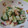 とみぃ11's cooksnap of when they made きゅうりとみょうがのマヨサラダ.