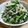 まゆピン's cooksnap of when they made 青菜とえのきだけの胡麻味噌あえ。.