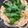 クックDM45FA☆'s cooksnap of when they made 楽々〜♡大葉入り♪冷製ナポリタン.