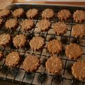 ｴﾈﾎﾞﾝﾍﾞ's cooksnap of when they made 太らないクッキー(砂糖、小麦粉不使用).
