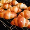ekhoney's cooksnap of when they made コツがいっぱい！ふんわり♪バターロール.