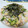 ユキぽっちん's cooksnap of when they made 我が家の定番！鮭きゅうり卵の混ぜご飯♪♪.