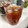 ぱんだcoぱんだ's cooksnap of when they made 透き通るようなアイスティはいかが？.