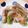 クックZ93IE9☆'s cooksnap of when they made 簡単！オクラとえのきの豚肉巻き.