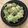 クックMQQTNW☆'s cooksnap of when they made エビとアボガドのマスタードサラダ.