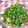 まぶたん's cooksnap of when they made おばあちゃんの味ほうれん草の胡麻和え.