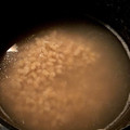 ame-ikuru's cooksnap of when they made もち麦（大麦）のゆで方♪基本・簡単.