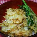 おつね's cooksnap of when they made 万能！天丼てんどんのたれつゆ.