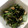 yoshaz06's cooksnap of when they made 空芯菜と卵の炒め物.