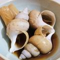 呑乃介's cooksnap of when they made 白バイ貝の煮付け.