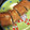 クックSHCHTZ☆'s cooksnap of when they made 2つの裏技で簡単‼︎半熟明太のだし巻き.
