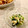 Jinko15's cooksnap of when they made ほうれん草のお浸しじゃこおろし和え.