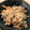 ♥めーにゃ♥'s cooksnap of when they made 【保育園給食】切干大根ののりごま和え.