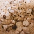 n☆☆t's cooksnap of when they made 【シンプル♪】きのこと鶏肉の炊き込みご飯.