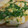 あゆたっくん's cooksnap of when they made 厚揚げステーキ★とろ～り卵とじあんかけ♪.