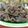ゆうかりコアラ's cooksnap of when they made 牛肉のしぐれ煮.