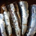 okapiko's cooksnap of when they made フライパンで鰯の煮付け 最高でーす！.