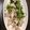 クックIR2ZMO☆'s cooksnap of when they made 空芯菜と豚肉の中華炒め.
