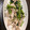 クックIR2ZMO☆'s cooksnap of when they made 空芯菜と豚肉の中華炒め.