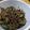 クックT7J5P0☆'s cooksnap of when they made きゅうりの佃煮.