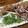 クックLLNFAM☆'s cooksnap of when they made 鰹のタタキのサラダ仕立て.