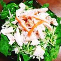 白雪マロン's cooksnap of when they made 簡単バンバンジー.