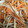 クックPX0BNC☆'s cooksnap of when they made 便秘解消！簡単作り置き！きんぴらごぼう.