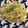 ひまわり６号's cooksnap of when they made 朝昼夕♪大豆もやし炒り卵のマヨカレー和え.