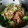 ぱんちゃん0526's cooksnap of when they made 簡単すぎる母のつゆだくな牛丼(豚丼)☆.