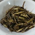 クック3K5NSL☆'s cooksnap of when they made 絶品 みょうがのキンピラ.