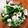 cooking66's cooksnap of when they made ほうれん草とまいたけのごま和え.
