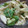 クック6N3H5P☆'s cooksnap of when they made アボカドとささみのわさび和え.