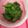 みずほちゃん's cooksnap of when they made 失敗しない！万願寺唐辛子の甘辛焼き.