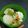 クック63JTKF☆'s cooksnap of when they made 和風スイーツ〜小倉抹茶ムース〜.