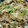 クック7FNN0F☆'s cooksnap of when they made 牛コマ切れ肉の炒め♪.