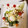 クックKAIK2Q☆'s cooksnap of when they made サニーレタスときざみあげのシーザーサラダ.