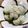 鱸の缶詰's cooksnap of when they made 粒あんた〜っぷり☻パクっとクッキー.