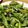 ururun60's cooksnap of when they made ししとうの甘辛炒め.