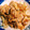 ムーミン☆ママ's cooksnap of when they made 豚肉とキャベツの生姜焼き風炒め.