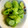ポルシェ祭り's cooksnap of when they made 簡単切って漬けるだけ！胡瓜のワサビ漬。.