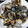 o^o^oayuayu's cooksnap of when they made あさりのバター酒蒸し.