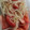mipunya's cooksnap of when they made もやしとトマトの夏ナムル.
