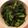 greenbeen's cooksnap of when they made いんげんの胡麻和え.