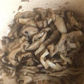 ◎はったん's cooksnap of when they made たっぷりきのこの生姜佃煮.