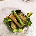 mary_39's cooksnap of when they made 茄子ときゅうりの白だし即席漬け.