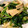 m11m11's cooksnap of when they made ほうれん草とエリンギのバター醤油炒め.