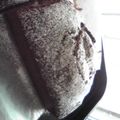 ぺちゃぺちゃ's cooksnap of when they made パウンドケーキ・ココア.