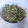 NEXT LEVEL's cooksnap of when they made 海苔ときゅうりのキムチあえ.