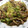 さばたまご's cooksnap of when they made 豚バラ肉と椎茸とレタスのオイスター炒め.