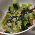ののまま＠ずぼら's cooksnap of when they made ほうれん草のツナ和え.